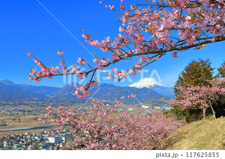 【神奈川県】快晴の富士山と河津桜（まつだ桜まつり） 117625855
