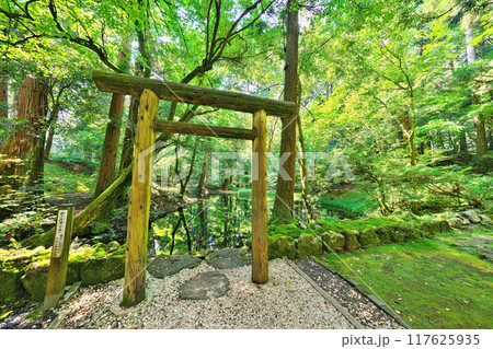 平泉寺白山神社の御手洗池 117625935