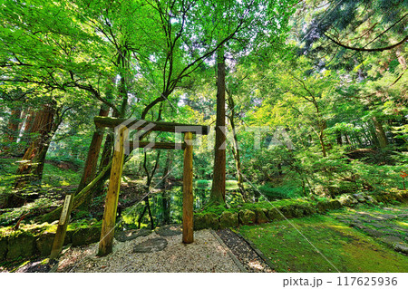 平泉寺白山神社の御手洗池 平泉寺白山神社の御手洗池 117625936
