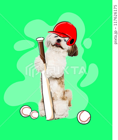Poster. Contemporary artwork. Athletic pet in baseball helmet grips bat, ready for action, surrounded by baseballs on green background. Cartoon art style. 117626175