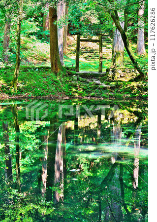 平泉寺白山神社の御手洗池 117626286