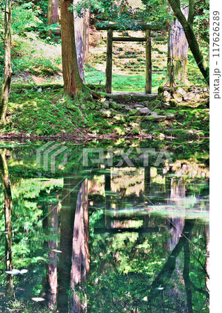 平泉寺白山神社の御手洗池 117626289