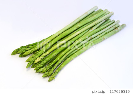 アスパラガス 117626519