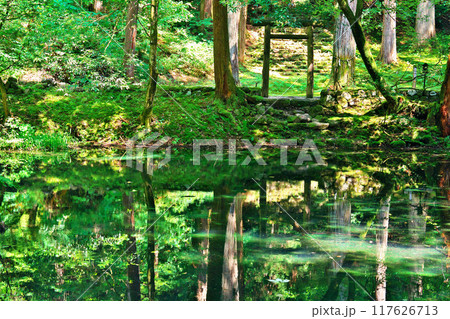 平泉寺白山神社の御手洗池 117626713
