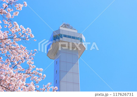 愛知県尾張旭市、スカイワードあさひと桜の風景 117626731