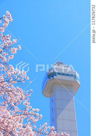愛知県尾張旭市、スカイワードあさひと桜の風景 117626732