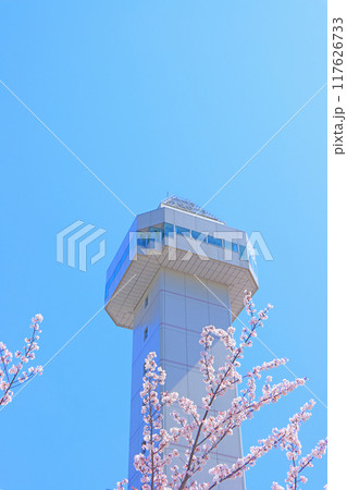 愛知県尾張旭市、スカイワードあさひと桜の風景 117626733