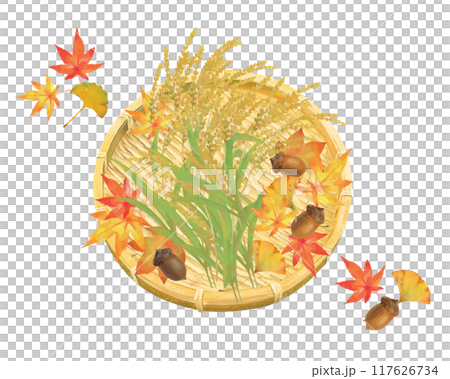 収穫期の稲-稲穂や木の実の美味しい秋の味覚シリーズセットと上から見たカゴと紅葉もみじのイラスト素材 117626734