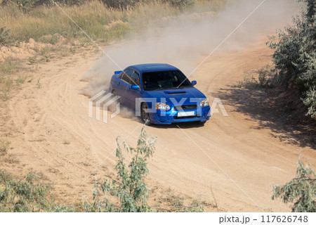 Blue Rally Car on Dirt Track 117626748