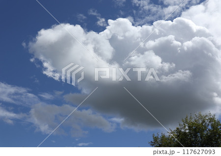 もくもくと湧く夏の白い雲 もくもくと湧く夏の白い雲 117627093