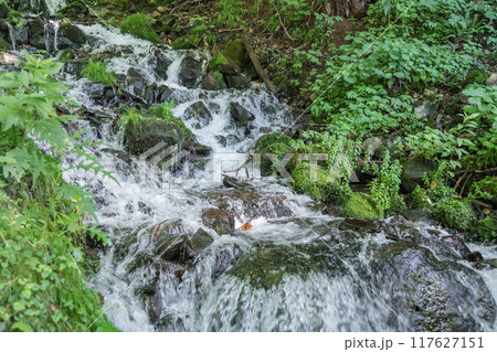 【たんばら　強清水の滝】 117627151