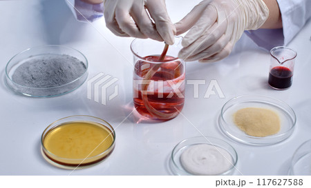 A yellow hair sample is being dipped into a red solution to dye it, next to it are chemical dishes for experiments. Close-up of experimenting with hair samples, studying dye colors 117627588
