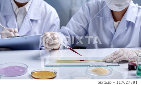 A yellow hair sample on a glass tray is being dropped by the scientist drop by drop of a red substance. The remaining scientist is carefully taking notes. Scene of hair research in the laboratory 117627591