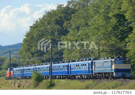 PトップEF655501けん引群馬県民の日号 ブルートレイン PトップEF655501けん引群馬県民の日号 ブルートレイン 117627763