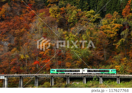 只見線、秋の絶景　紅葉に染まる断崖をバックに第八只見川橋梁を渡る観光列車「風っこ」 117627768