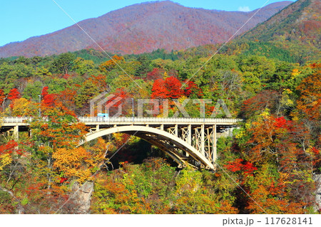 【宮城県】朝日を浴びる鳴子峡の紅葉 【宮城県】朝日を浴びる鳴子峡の紅葉 117628141