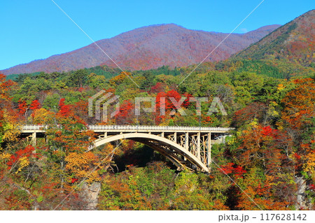 【宮城県】朝日を浴びる鳴子峡の紅葉 【宮城県】朝日を浴びる鳴子峡の紅葉 117628142