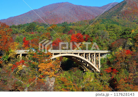 【宮城県】朝日を浴びる鳴子峡の紅葉 117628143