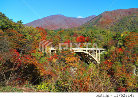 【宮城県】朝日を浴びる鳴子峡の紅葉 【宮城県】朝日を浴びる鳴子峡の紅葉 117628145