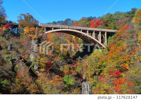 【宮城県】紅葉の鳴子峡の大深沢橋 【宮城県】紅葉の鳴子峡の大深沢橋 117628147