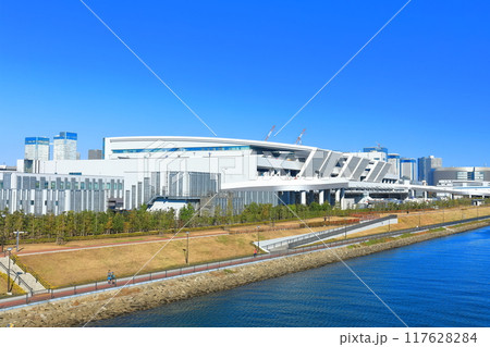 【東京都】快晴の豊洲市場（水産卸売場） 117628284