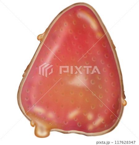 strawberry tanghulu candied coating syrup of Chinese snacks fruits,Sweet dessert hand drawn illustrations 117628347