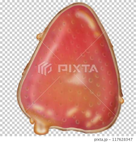 strawberry tanghulu candied coating syrup of Chinese snacks fruits,Sweet dessert hand drawn illustrations 117628347