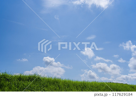 草原と青空と白い雲《背景素材》 117629184