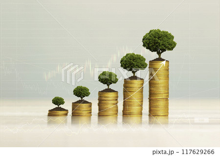 Fund bond, compound interest, investment concept, stack of gold coins with growing tree. wealth growth gold coins are displayed as graphs. Shows the beginning of the power of saving money in stocks. 117629266