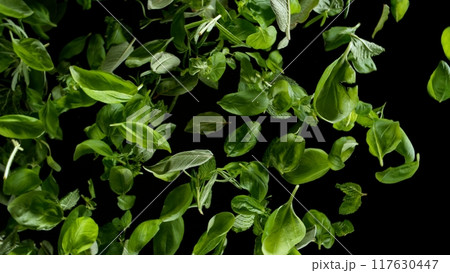 Freeze Motion of Flying Fresh Herbs Leaves, Isolated on Black Background 117630447