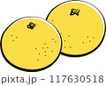 シンプルな八朔のイラスト 117630518