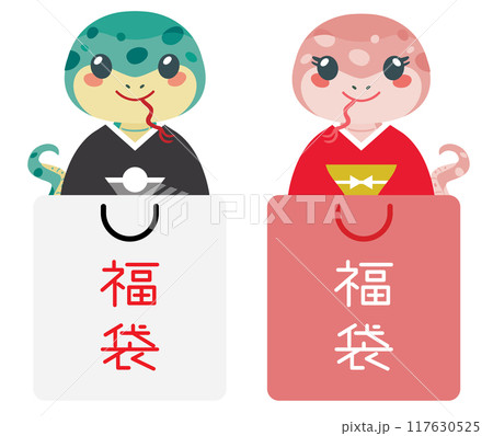 福袋に入った巳年の蛇のカップル 福袋に入った巳年の蛇のカップル 117630525