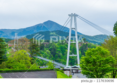 大分県九重町 九重夢大吊橋と新緑の緑 大分県九重町 九重夢大吊橋と新緑の緑 117630696