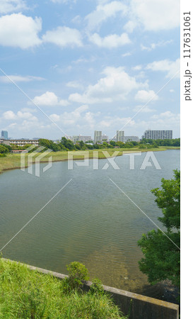 【千葉県習志野市】谷津干潟 117631061