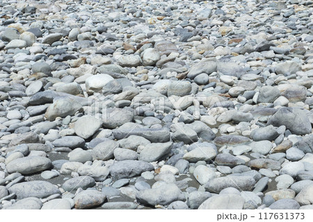 Rocky shore Rocky shore 117631373