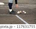 試合前の練習時間にグランドでボールを拾う高校球児 試合前の練習時間にグランドでボールを拾う高校球児 117631755
