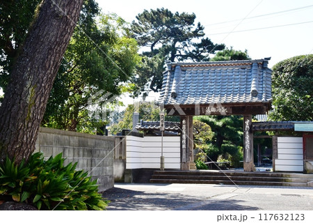 沼津市 徳源寺山門と松 沼津市 徳源寺山門と松 117632123