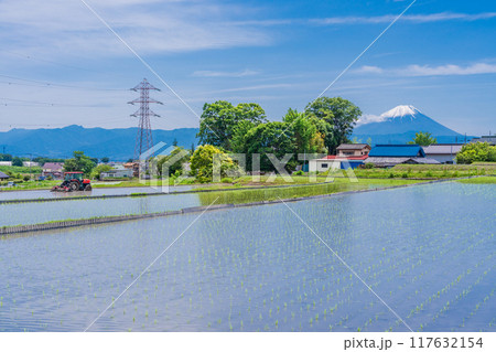 【山梨県】田植え期の田んぼ越しに富士山 117632154