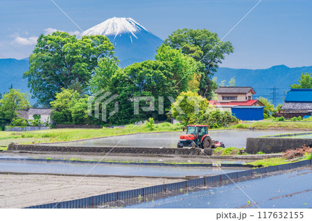 【山梨県】田植え期の田んぼ越しに富士山 117632155