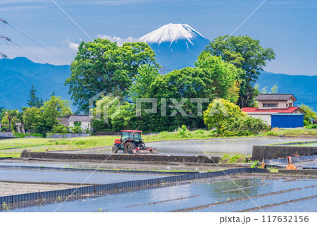 【山梨県】田植え期の田んぼ越しに富士山 117632156