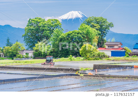 【山梨県】田植え期の田んぼ越しに富士山 【山梨県】田植え期の田んぼ越しに富士山 117632157