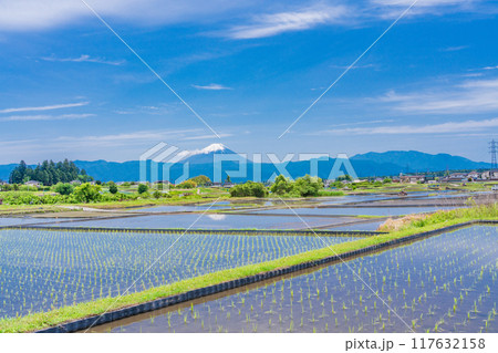 【山梨県】田植え期の田んぼ越しに富士山 【山梨県】田植え期の田んぼ越しに富士山 117632158