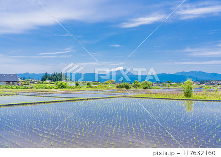 【山梨県】田植え期の田んぼ越しに富士山 117632160