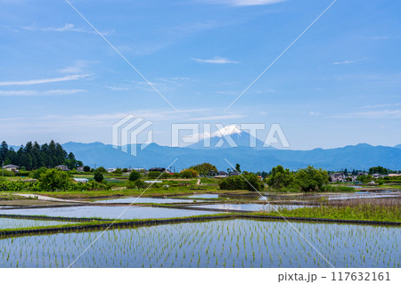 【山梨県】田植え期の田んぼ越しに富士山 117632161