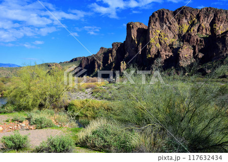 Salt River Recreation Area Arizona 117632434