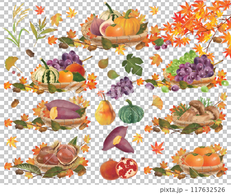 Illustration material of delicious autumn taste series set of fruits, vegetables and nuts, basket and autumn leaves maple 117632526