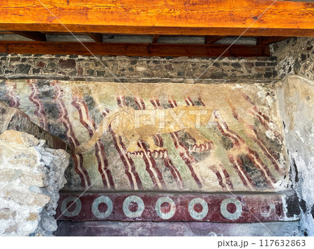 メキシコ・テオティワカン遺跡 ジャガーの宮殿 メキシコ・テオティワカン遺跡 ジャガーの宮殿 117632863