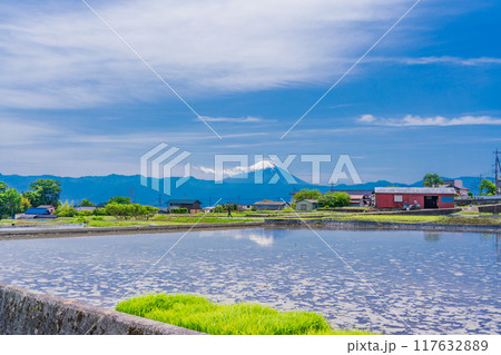 【山梨県】田植えの準備の整った田んぼ越しに富士山 【山梨県】田植えの準備の整った田んぼ越しに富士山 117632889