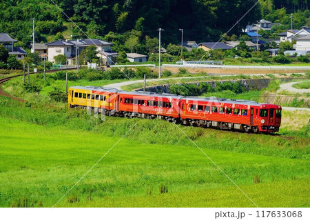 ものがたり列車10周年ラッピング　～伊予灘ものがたり・八幡浜編～ 117633068
