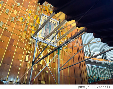 メキシコ・グアダルーペ大聖堂 117633314